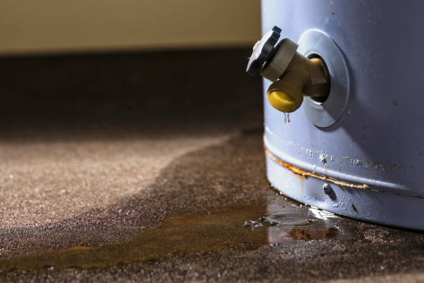 Best Flood restoration services  in Beaver Dam, AZ
