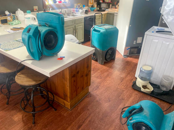 Best Ceiling water damage repair  in Beaver Dam, AZ