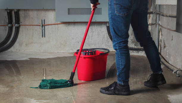 Best Carpet water damage restoration  in Beaver Dam, AZ