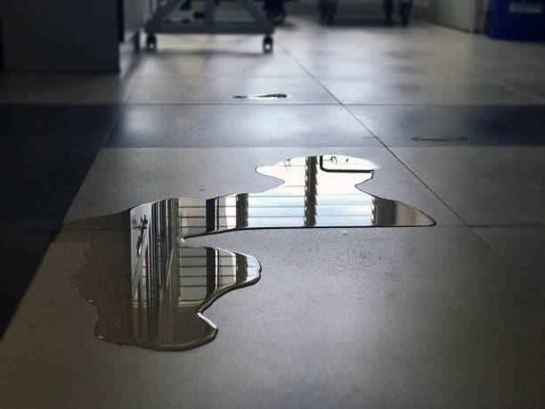 Best Carpet water damage restoration  in Beaver Dam, AZ
