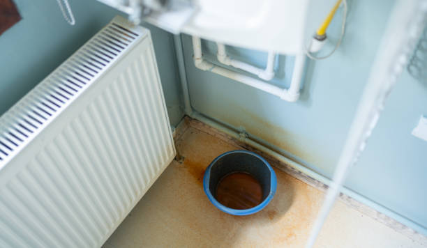 Best Water damage contractors near me  in Beaver Dam, AZ