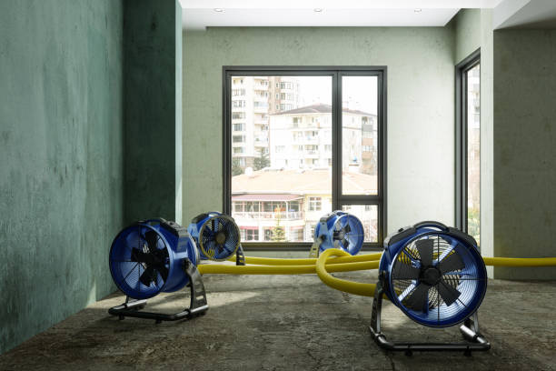 Best Sewage cleanup and water damage restoration  in Beaver Dam, AZ